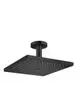 Hansgrohe-HG-Kopfbrause-Raindance-E-300-1jet-Deckenmontage-mattschwarz-26250670 gallery number 1